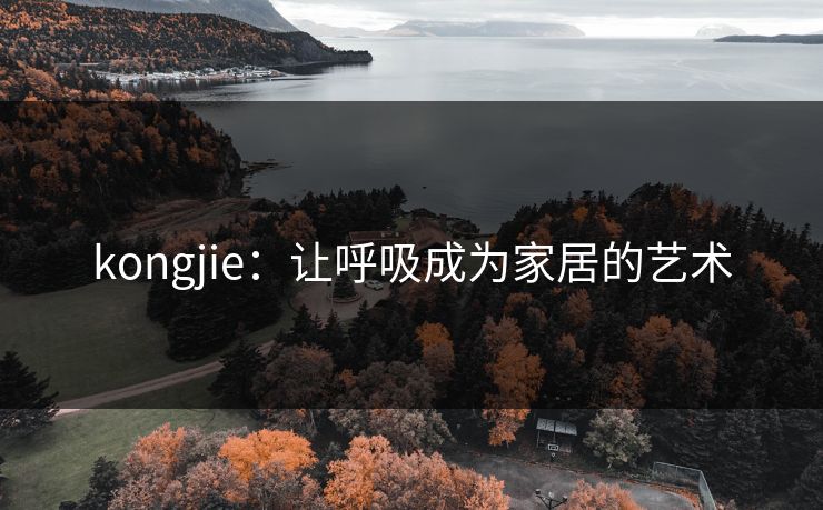 kongjie：让呼吸成为家居的艺术