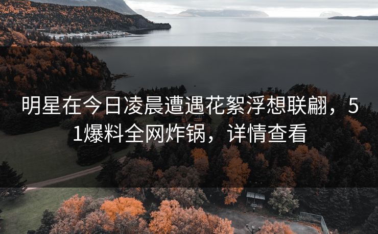 明星在今日凌晨遭遇花絮浮想联翩，51爆料全网炸锅，详情查看