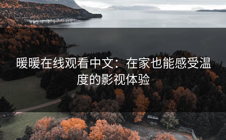 暖暖在线观看中文：在家也能感受温度的影视体验