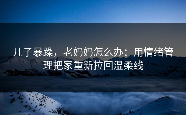 儿子暴躁，老妈妈怎么办：用情绪管理把家重新拉回温柔线